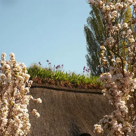 La Bonne - Seine Panorama Sas